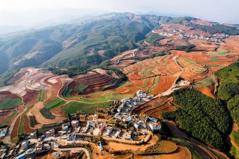 Green Valley Golden Steps 12