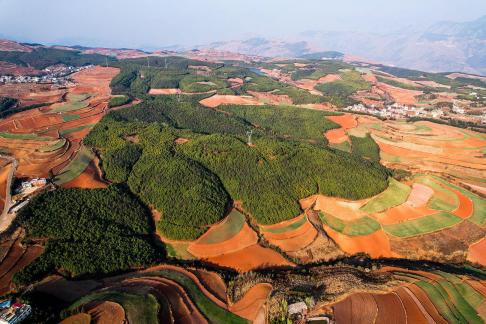 Green Valley Golden Steps 13