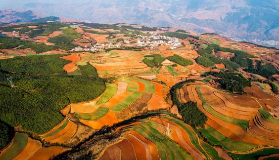 Green Valley Golden Steps 14