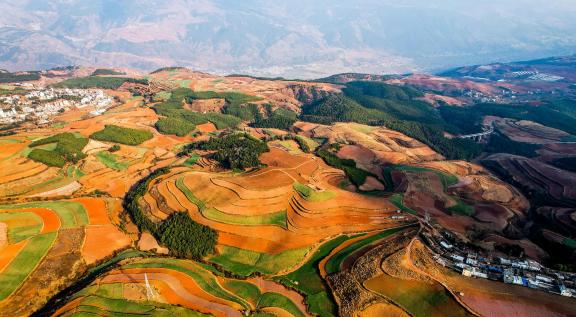 Green Valley Golden Steps 15