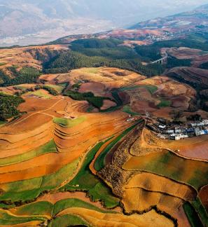 Green Valley Golden Steps 16