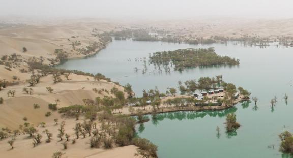 Remote viewing of oasis 1