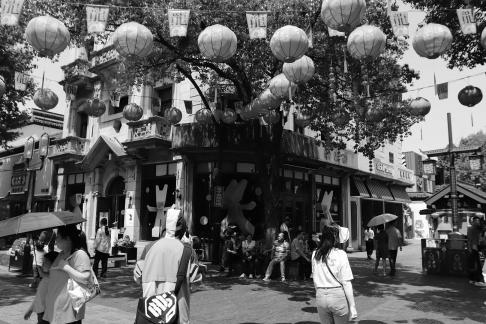 Lantern Reflecting on a Century 5