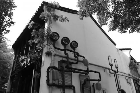 White Wall and New Branches 1