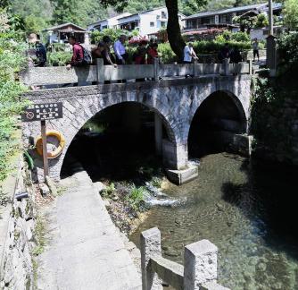 Rural Bridge Leisurely Crossing 1