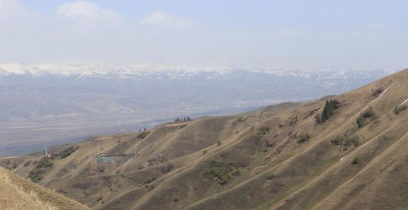 Snowy Ridge Pine Plains 29