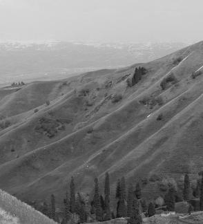 Snowy Ridge Pine Plains 30