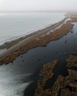 Ice Lake Reed Path Book 22