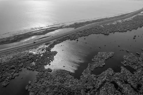 Ice Lake Reed Path Book 16