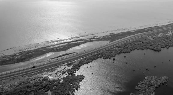 Ice Lake Reed Path Book 17