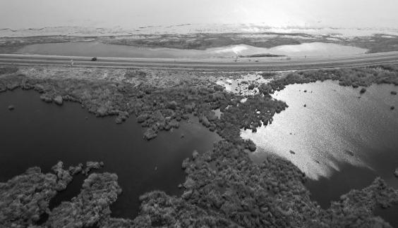 Ice Lake Reed Path Book 18