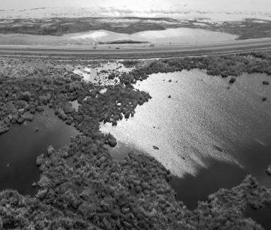 Ice Lake Reed Path Book 19