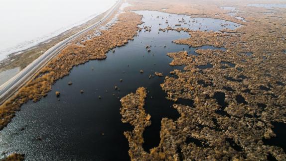 Ice Lake Reed Path Book 13