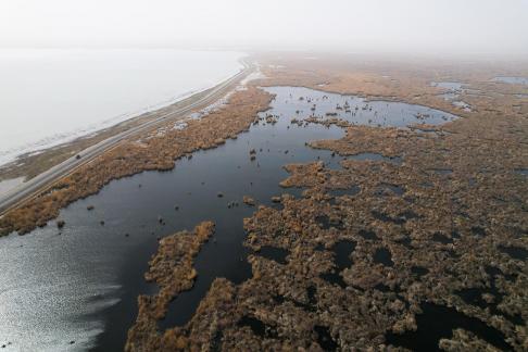 Ice Lake Reed Path Book 14