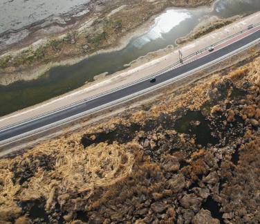 Ice Lake Reed Path Book 8