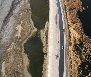 Ice Lake Reed Path Book 10