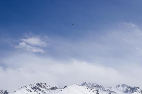 Snow on Cold Mountain 19