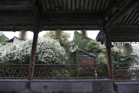 Time steps slowly 25