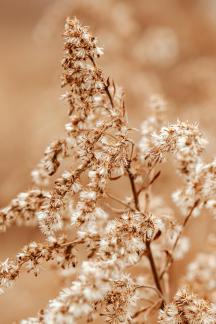 Drying up in winter 6