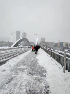 Snow Bridge