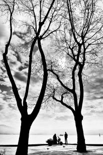 BWFishmanistinyelook