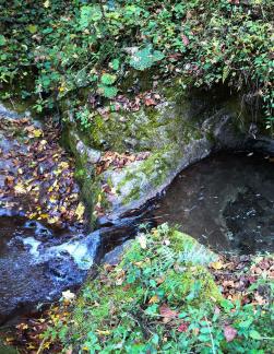 mountain stream 3