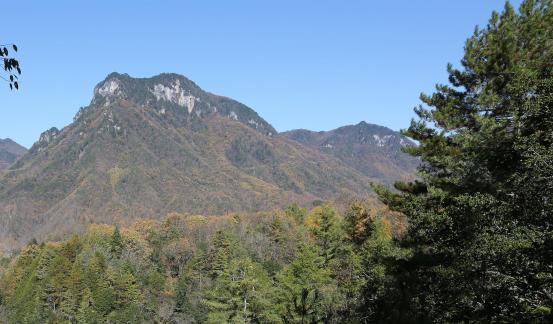 Green Green Mountains 1