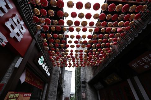 Scenic Area Scenery 15