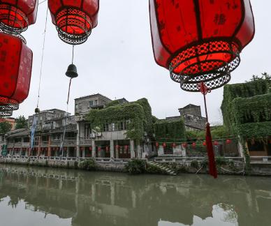 Green Wave Reflection 6