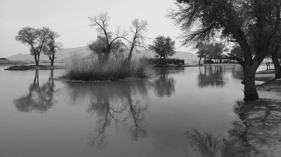 Tears of the Desert Heart 9