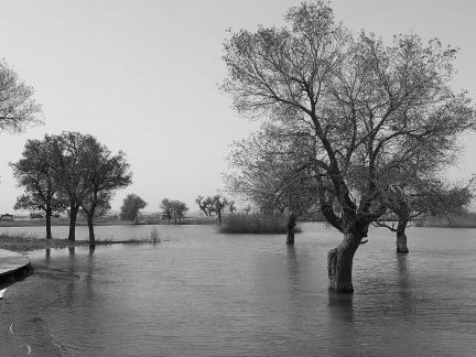 Tears of the Desert Heart 10