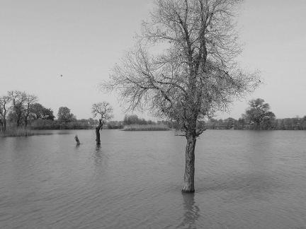 Tears of the Desert Heart 11