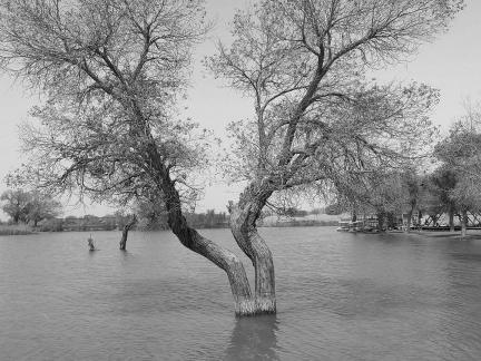 Tears of the Desert Heart 12