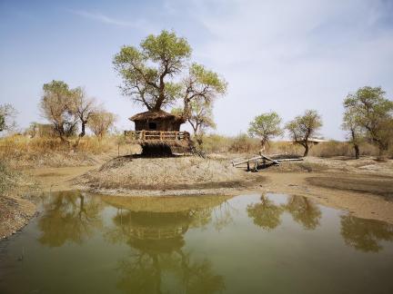 Tears of the Desert Heart 4