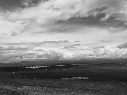 Yunmu Green Field 14