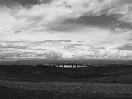 Yunmu Green Field 15