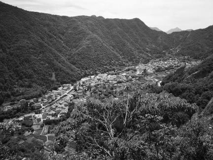 Green curtain hanging clouds 3