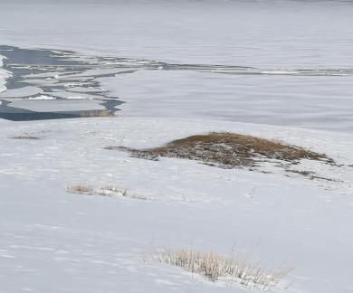 Snow Sleeping Mirror Lake 12