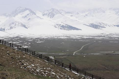 Snowy Ridge Pine Plains 9