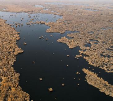 The vast expanse of reed marshes 3