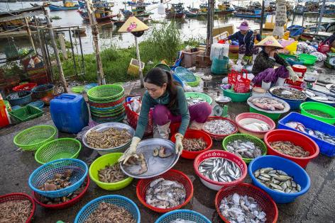 Fish Fresh in the Basket