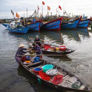 The vitality of the fishing port