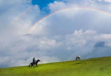 The Beauty of Harmony