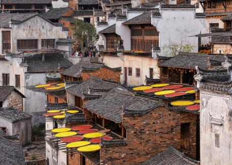 The Colors of Autumn