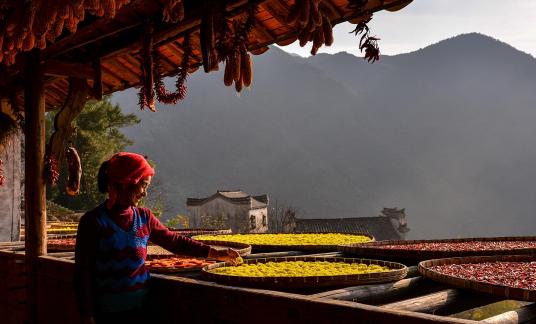 The Joy of a Bountiful Harvest