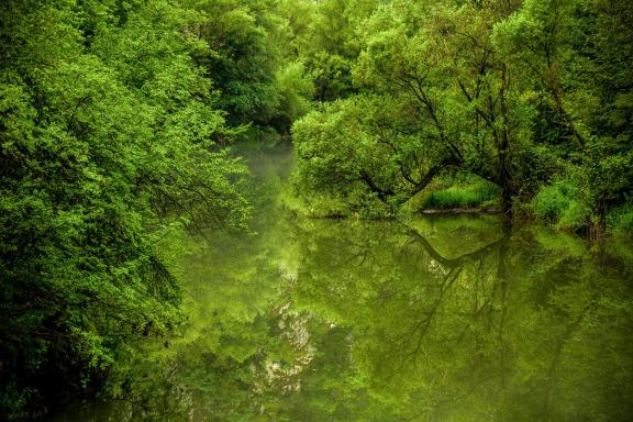 Green world