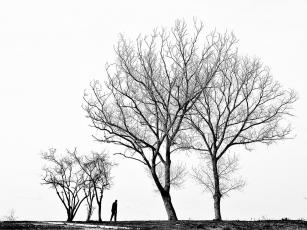 alone