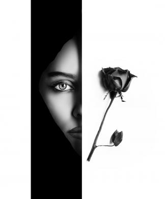 Pretty lady s eye and rose