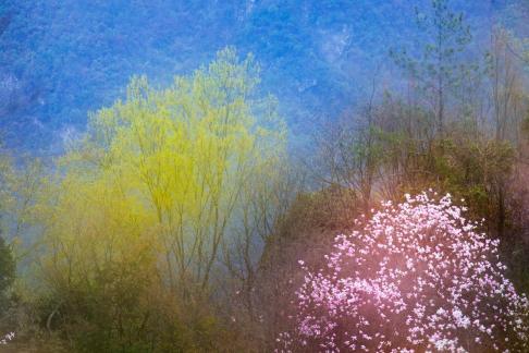 Flowers in double taking