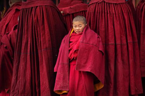 Little monk